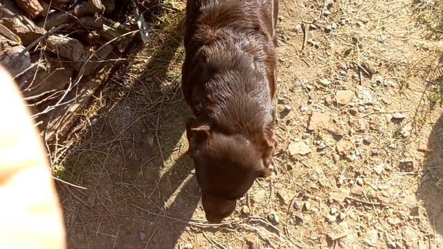 Готовим ужин/cooking dinner смотреть онлайн