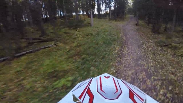 Покатушки по лесным тропинкам на Мотоленде смотреть онлайн