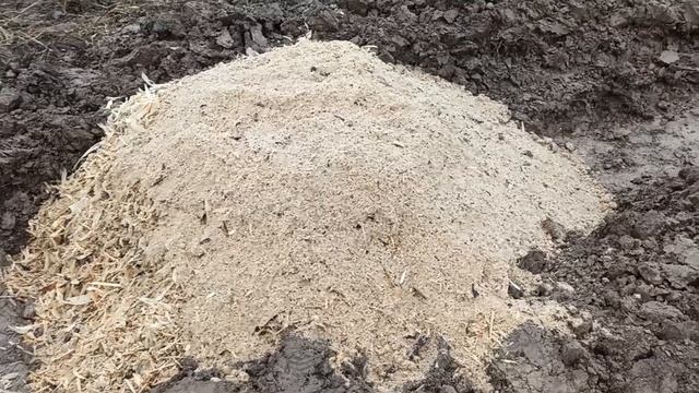 Готовим поле под голубику смотреть онлайн