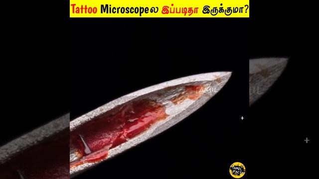 Tattoo Microscope ல எப்படி இருக்கும்? |Facts in Tamil_Facts in Minutes_Tamil facts #Shorts смотреть онлайн