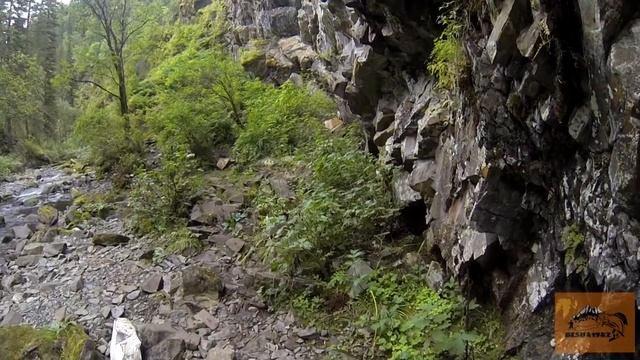 Пеший поход на водопады р. ШИНОК. Алтайский край, Солонешенский р-н. смотреть онлайн
