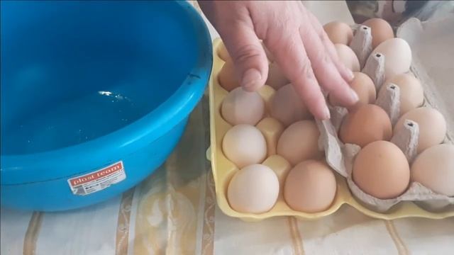 ПОДГОТОВКА ЯИЦ ПЕРЕД ЗАКЛАДКОЙ В ИНКУБАТОР. ДЕЗИНФЕКЦИЯ ЯИЦ. смотреть онлайн