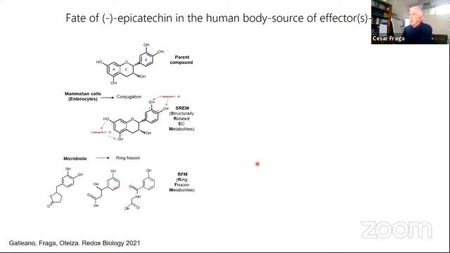 Unravelling the World of Nutrition смотреть онлайн