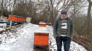 Пчелопакеты 2021 или Отводки. 6 или 8 рамочники делать улья. Выбор за нами.