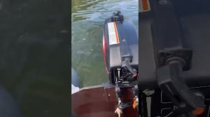 Мотор SUZUKI 2.2