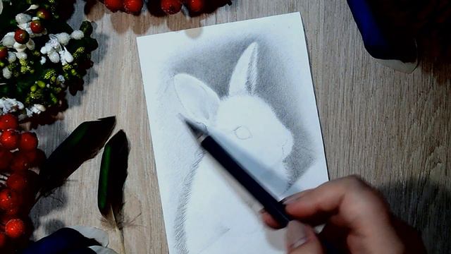 Drawing and shading a cute realistic rabbit with graphite pencils смотреть онлайн