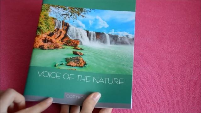 Back to School - 2015 || Покупки к школе // К школе готова! смотреть онлайн