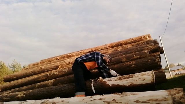 Скобель. Сосновые бревна. смотреть онлайн