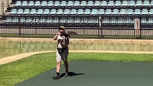 AUSTRALIA ZOO Steve Irvin- ostreliya chidiyaaghar/Зоопарк Австралии オーストラリア動物園 смотреть онлайн