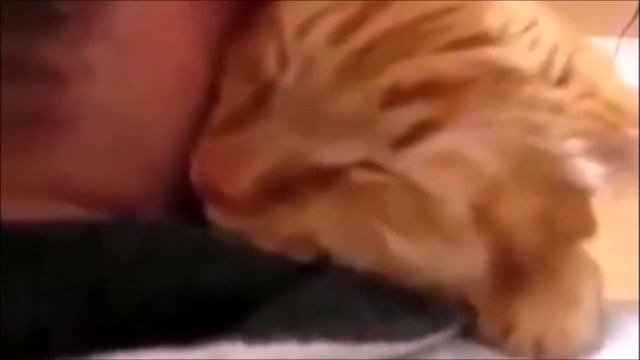 Добрый сон... смотреть онлайн