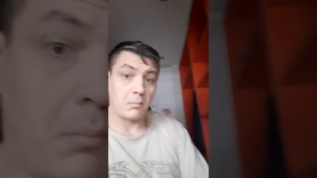 Алиса как будет серая птица по китайский ? Вопрос к Алисе смотреть онлайн