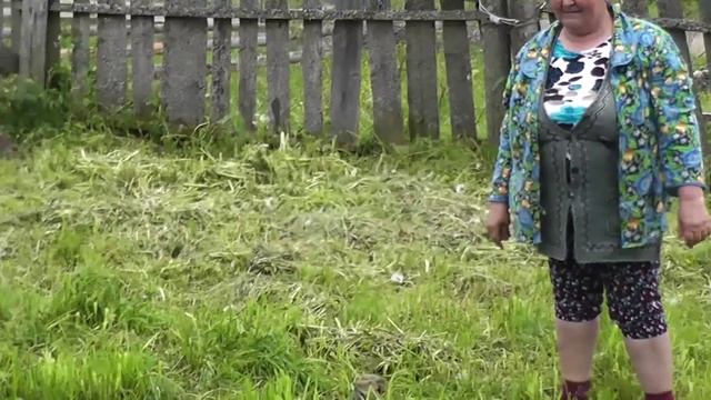 жили у бабуси 2 веселых гуся смотреть онлайн