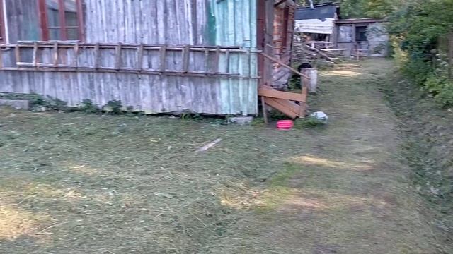 НЕ очень положительные факторы обо мне. Покос травы в Гатчинском районе и Ленобл. ТЕЛ. 8911141814 смотреть онлайн