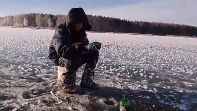 Перволёдок. 25 октября 2014. смотреть онлайн