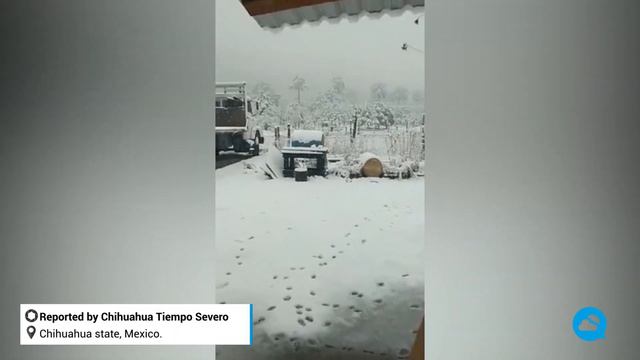 Heavy snowfall hits the municipality of Guachochi, Chihuahua, Mexico смотреть онлайн