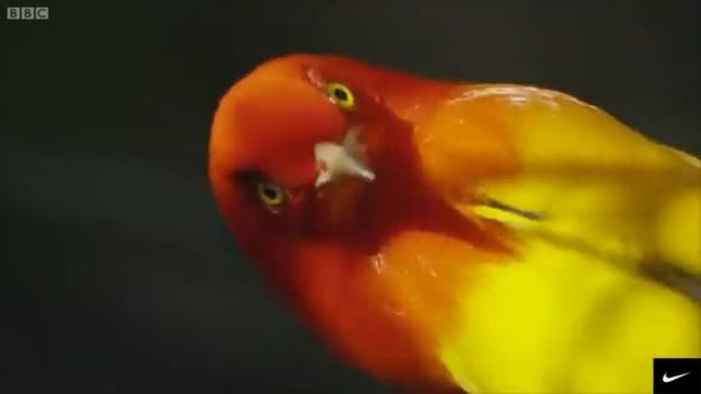 СЕРДЦЕ ЗАМИРАЕТ))Потрясающая, самая Красивая Музыка для души! КРАСИВЫЙ КЛИП, ПОСМОТРИТЕ #музыка#