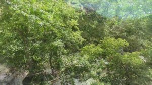 Краткое видео гор Дагестана Село Хучни ТАБАСАРАНСКИЙ РАЙОН! #дагестан #табасаранскийрайон