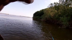 Поймали МОНСТРА! РЫБАЛКА НА АМУРЕ С АМУРОМ. ЛЮТЫЕ ВЕРХОГЛЯДЫ АМУРА!