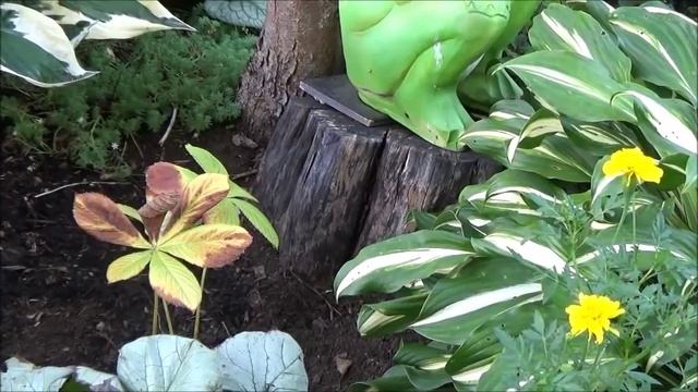 Дача. Мастерим букет.Тумбочка под посуду.Зажигаем свечи.Роджерсия.Ваша подсказка.НР-дача Анастасии. смотреть онлайн