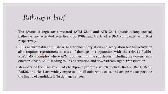 Cell Cycle Checkpoint Regulation by ATM/ATR KinaseI Cell Cycle Checkpoint Regulation Part 3I смотреть онлайн
