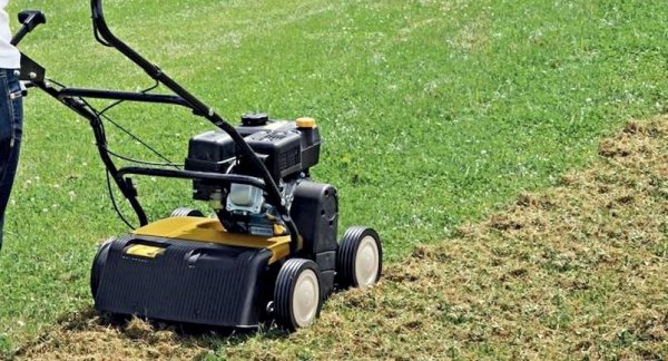 Скарификатор. Когда хочешь идеальный газон.