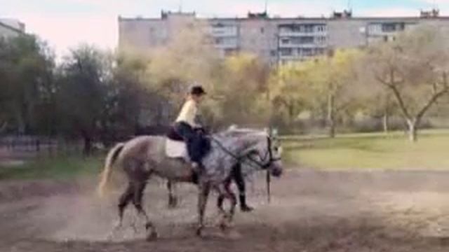 Моя конная тренировка смотреть онлайн