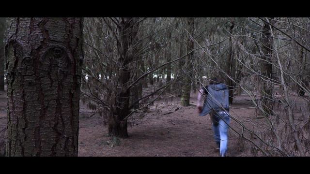 Perish Short Film - Georgina Fox - November 26 2017 смотреть онлайн