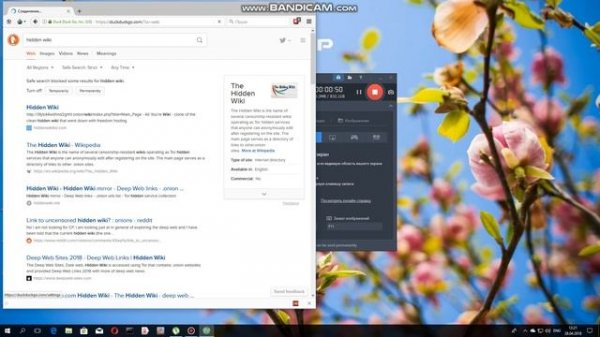 как войти в The Hidden Wiki