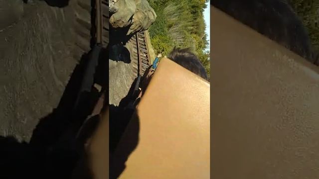 Animal kingdom's Expedition Everest backwards decent with color commentary. смотреть онлайн