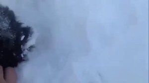 Как хорошо, что в мире есть добро