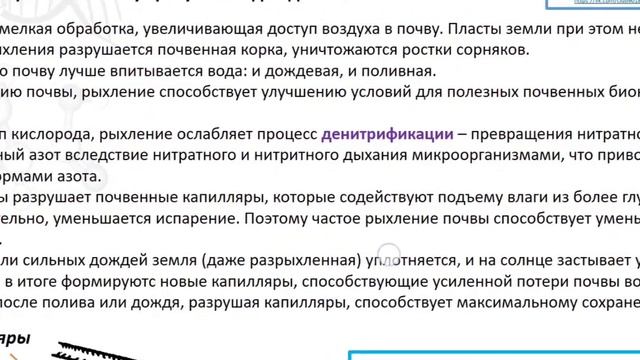 Зачем рыхлят почву? Значение рыхления для растений. Разбор заданий из реального ЕГЭ по биологии. смотреть онлайн