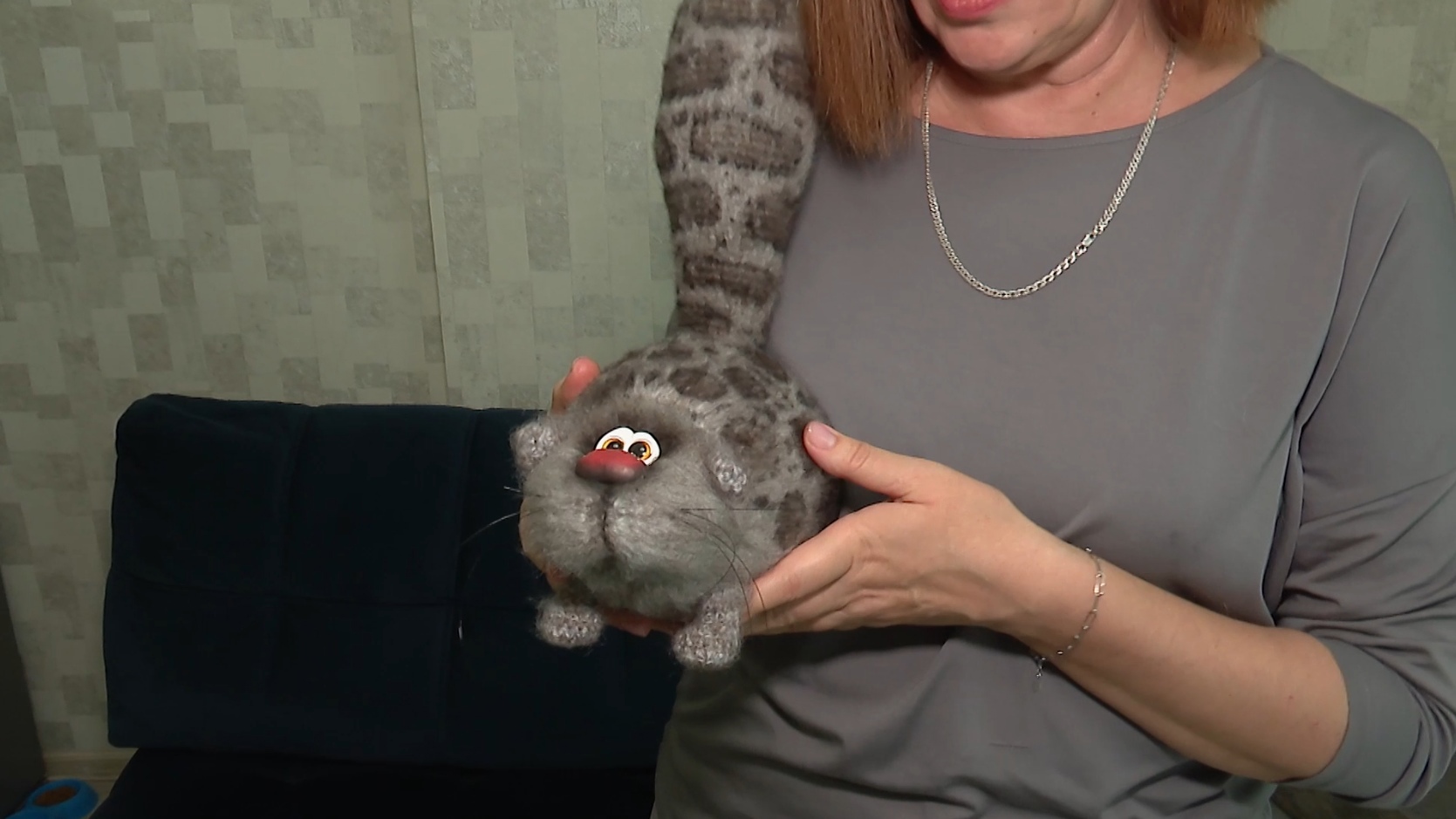 Челябинцы отметили Всемирный День кошек смотреть онлайн