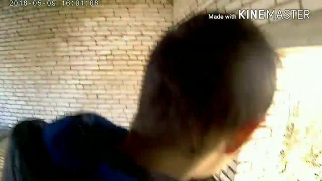 Немножко пошумели в зоброшке и пришли мужики и побежали за нами смотреть онлайн