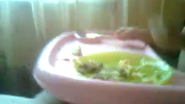 how to feed the huskies/ как правильно кормит хаски смотреть онлайн