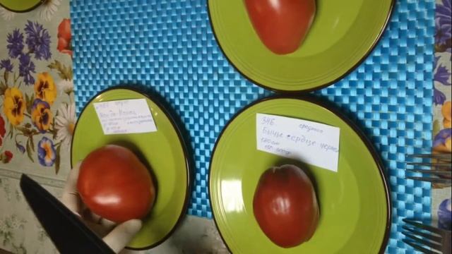 Дегустация сердцевидных томатов смотреть онлайн