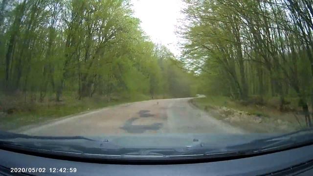 Состояние дороги Т1217 Александровка Чигирин. смотреть онлайн