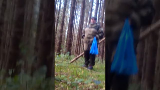 Матвей Орешков собирает грибы смотреть онлайн