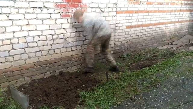 Домашнее задание по физкультуре)) смотреть онлайн