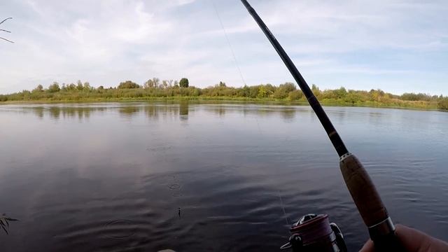 ВЕЧЕРНИЙ ХИЩНИК. СПИННИНГ НА БЕРЕЗИНЕ. 16.09.2021. смотреть онлайн
