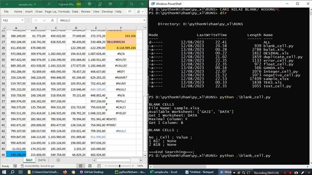 [openpyxl] Cari cell tanpa nilai atau blank/ empty/ null di Excel menggunakan Python смотреть онлайн