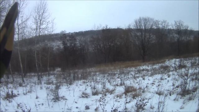 Охота с Эстонскими гончими. Лада и Бригадир. 18+ смотреть онлайн