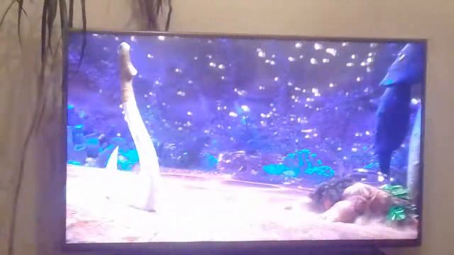 ПЕСНЯ КРАБА ТАМАТОА:ЖИТЬ В БЛЕСКЕ смотреть онлайн