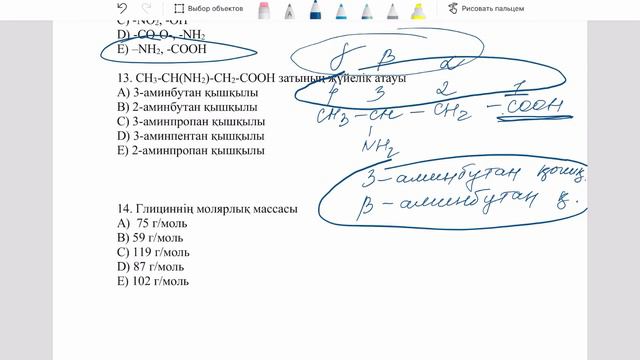 Аминдер мен аминқышқылдары тест жауаптары. 1 бөлім смотреть онлайн