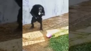 Бухой мужик, который просит разок ударить по мячу