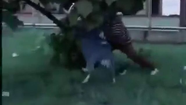 Злой козёл напугал всех смотреть онлайн