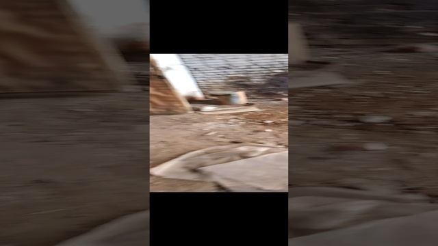 Без названия