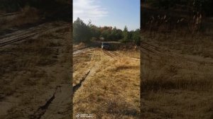 Тагаз Роад партнер 2.3