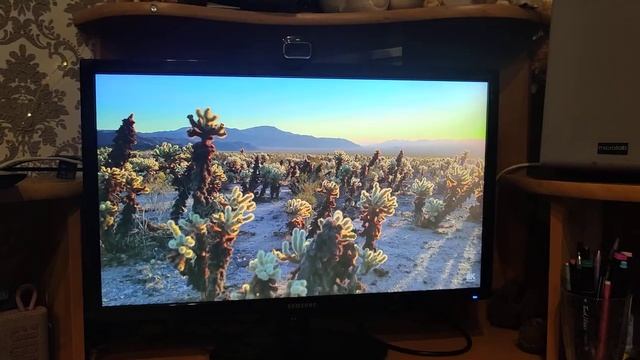 Монитор Samsung 24 S24D300H TN FHD смотреть онлайн