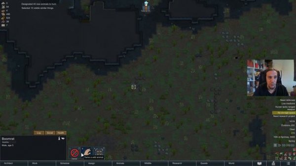 ALLOW TOOL - RIMWORLD MOD SHOWCASE - Tutorial Gameplay Guide