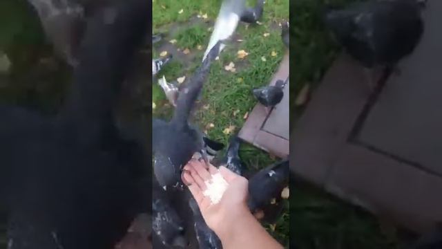 Сделай добро❤️ смотреть онлайн